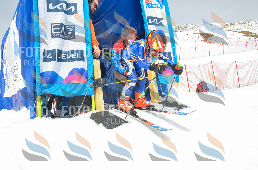 _ELE8327 | holidayphoto