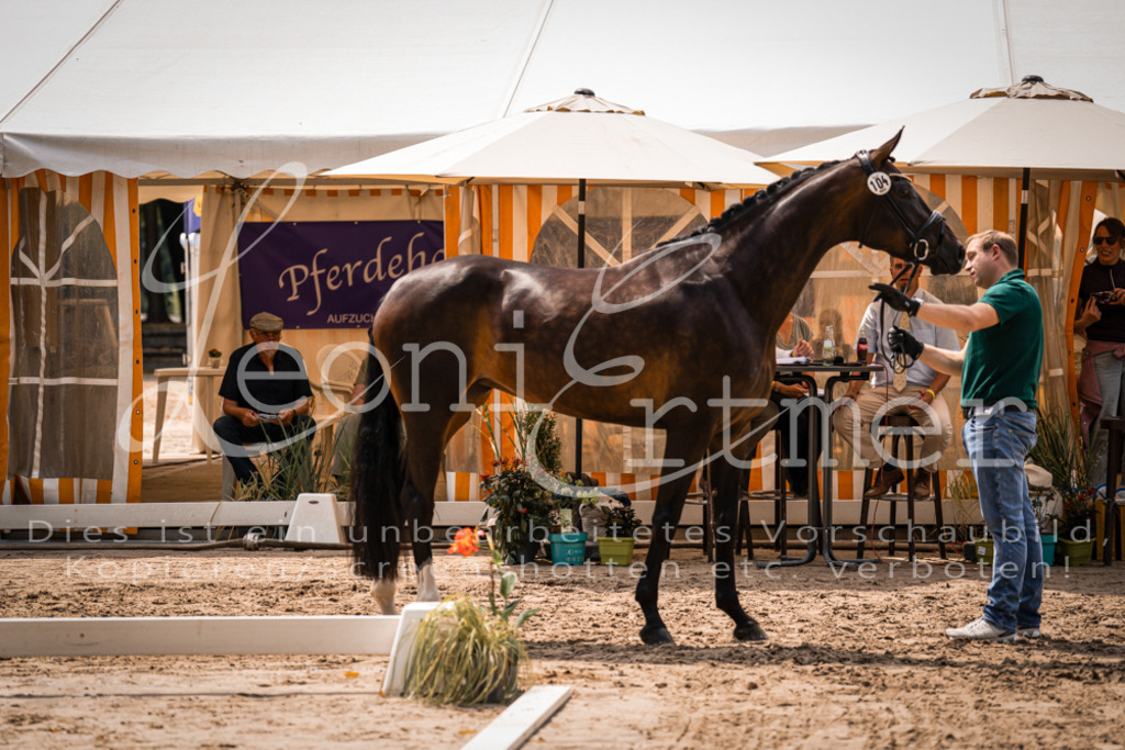 2. Fr00098 | Leoni Ertmer Photography - Realisiert mit Pictrs.com