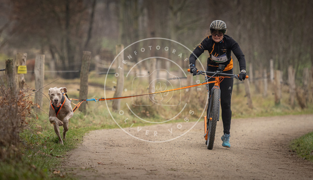 Pfotenfotografie_DV3A2458 | Hundefotografie, Tierfotograf, Pfotenfotografie, Fotoshooting Hund, Hunde Portrait, Hundesport, Hundeportraits, Heideshooting, Hunde, Sportfotograf, Hundefotograf, Turnierhundsport, THS,  - Realisiert mit Pictrs.com
