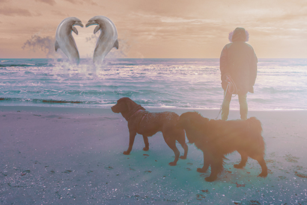 Verliebte Delfine | Beinahe unberührt ist der Strand heute, als ich mit den Hunden spazieren gehe. Die letzte Flut hat alle Spuren weggespült, ich fühle mich wie der einzige Mensch an diesem wunderbaren Fleck Erde. Im Moment bin ich sogar der einzige Mensch an diesem kilometerlangen Sandstrand. Noch nicht lange ist die Sonne aufgegangen, der Sand schimmert in sanftem rot, der Himmel hat einen Hauch von orangener Farbe. Es ist eine herrlich friedliche Stimmung, die mich umgibt. Eine kühle Prise weht mir vom Meer entgegen. Es ist still ringsum, nur die Wellen plätschern sanft aber beständig auf den feinen Sandstrand. Gedankenverloren stehe ich da, schaue aufs Meer hinaus, die Hunde geduldig hinter mir. - Realisiert mit Pictrs.com