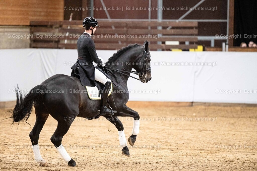 20260307_Hengstvorstellung-Marbach_0499 | equistock