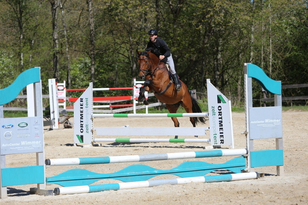 DL2Q3131 | Willkommen bei Brunnmayr - Design & Fotografie – Ihrem Spezialisten für Reitturniere und Pferdeveranstaltungen in Oberösterreich, Salzburg und Bayern! Seit über 17 Jahren sind wir leidenschaftlich dabei.