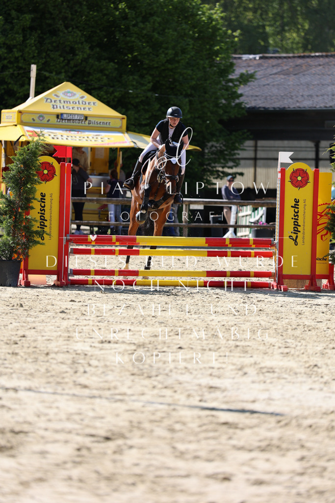 IMGS4910 | pl-fotografie