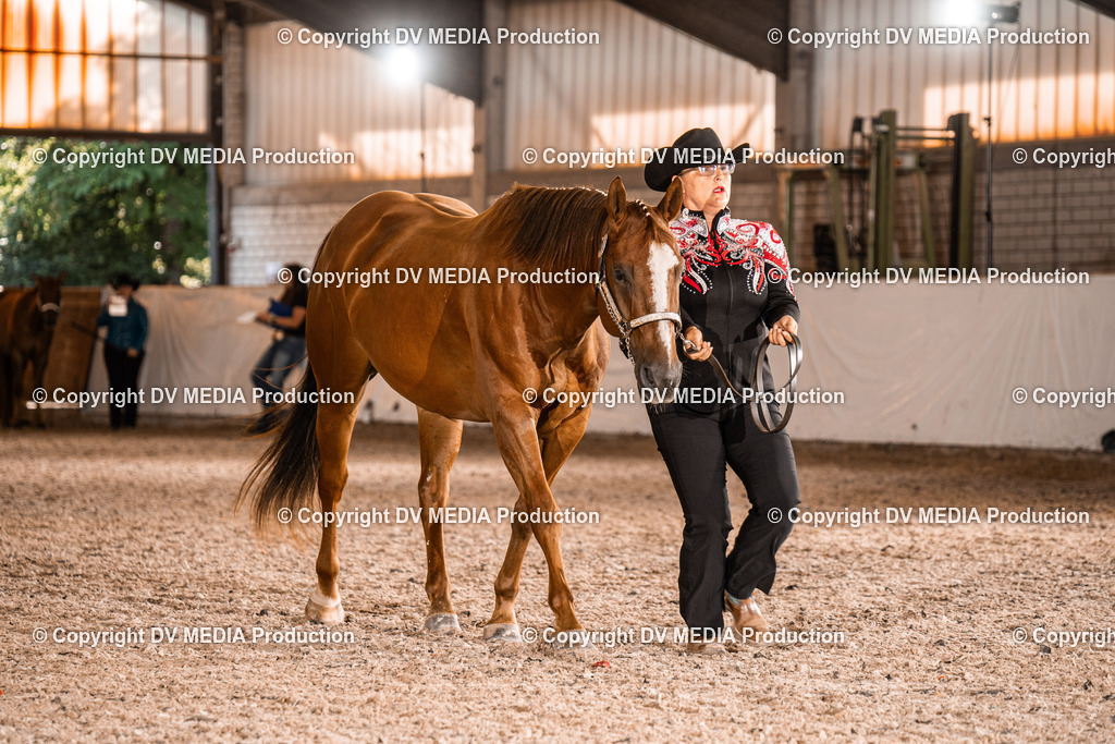 ZH100108 | dv-media-shop - Realisiert mit Pictrs.com