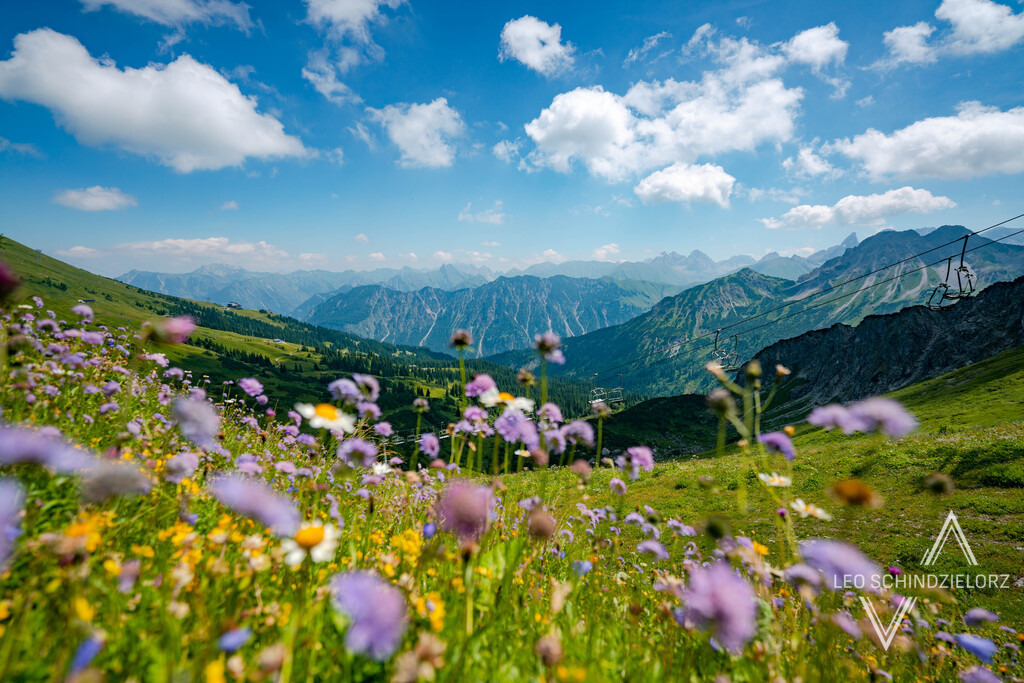 Fotografie_Leo_Schindzielorz_DE_Sommer_Allgaeu_Kuhgehrenspitze_20220716_A7R01002_org | Atmosphärische Landschaftsbilder & Drohnenaufnahmen aus dem Allgäu, Tirol, Südtirol & der Schweiz – ideal für Leinwanddrucke & zur stilvollen Raumgestaltung. - Realisiert mit Pictrs.com