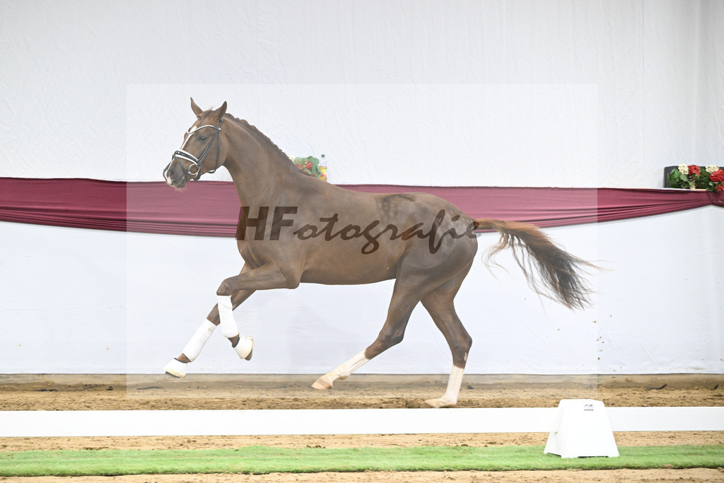 Kat-Nr. 138 Flashbang x Benetton Dream_Christian Gaeher_47251459 | hf-fotografie - Realisiert mit Pictrs.com