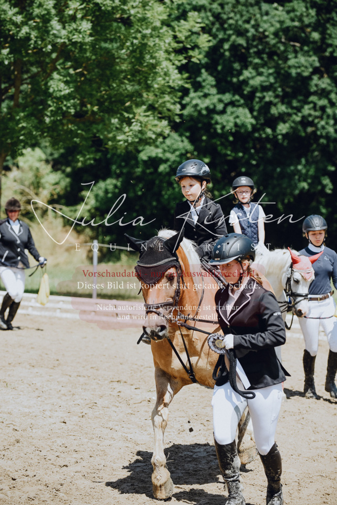 DSC_2708 | Pferde- und Turnierfotografie in Westsachsen. Pferdeportraits, Auftragszeichnungen und intuitive Kunst.