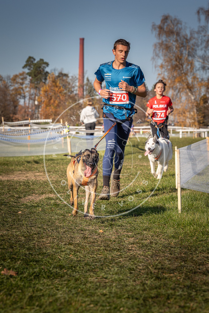 CaniXpix_0L8A8090 | Hundefotografie, Tierfotograf, Pfotenfotografie, Fotoshooting Hund, Hunde Portrait, Hundesport, Hundeportraits, Heideshooting, Hunde, Sportfotograf, Hundefotograf, Turnierhundsport, THS,  - Realisiert mit Pictrs.com