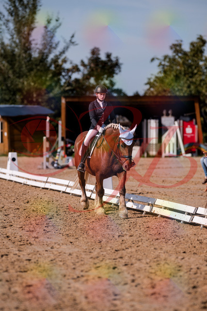 2026_10_03_Siefer-Hof_130251_Z81_57967937 | Professionelle Reitsport-, Turnier- und Eventfotografie von Robert Broda. Galerien mit ausgewählten und bearbeiteten Bildern direkt online ansehen und bestellen.
