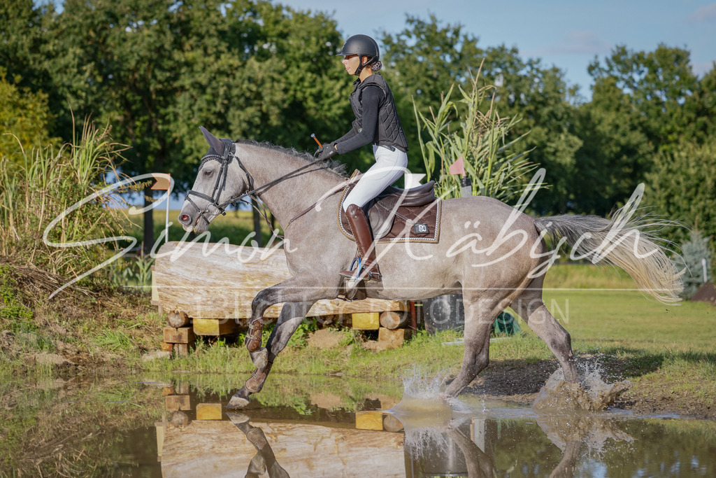 20250905-_3LI2318 | Tierfotografie Pferde, Hunde, Katzen, Haustiere.
Turnierfotografie Reitturniere, Reiten, Springreiten, Dressur in Hanau, dem Main-Kinzig-Kreis und dem Rhein-Main- Gebiet um Frankfurt