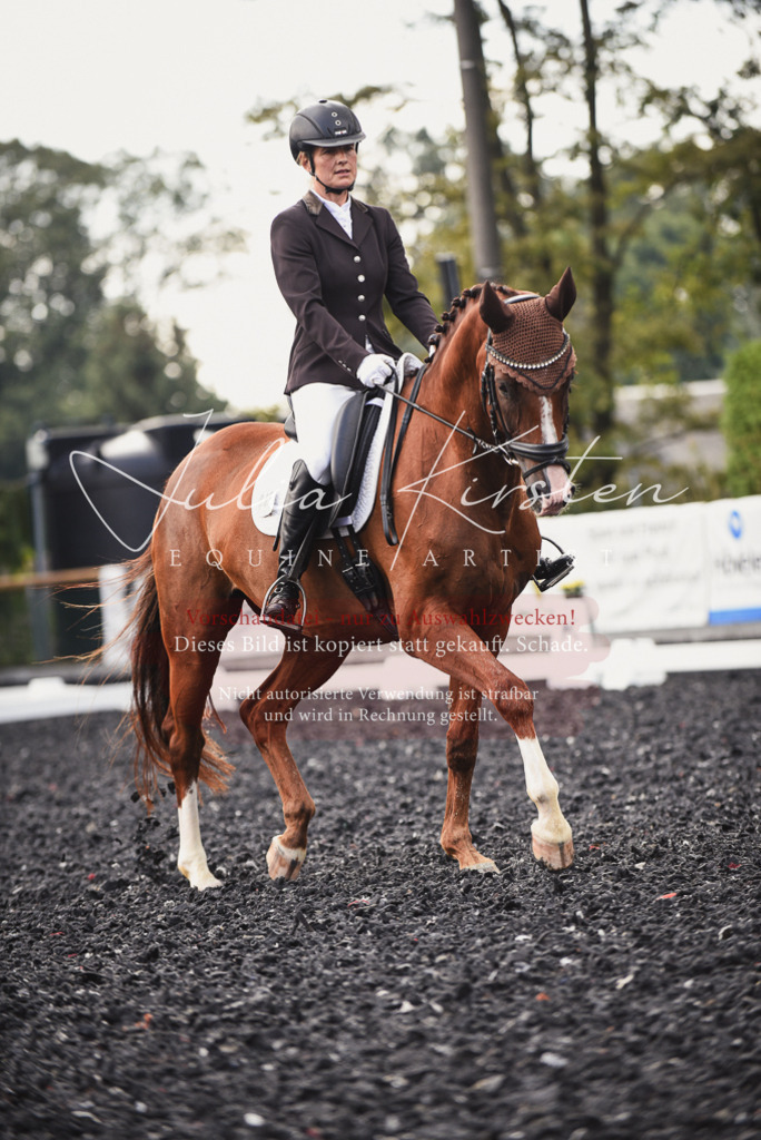 DSC_3986 | Pferde- und Turnierfotografie in Westsachsen. Pferdeportraits, Auftragszeichnungen und intuitive Kunst.