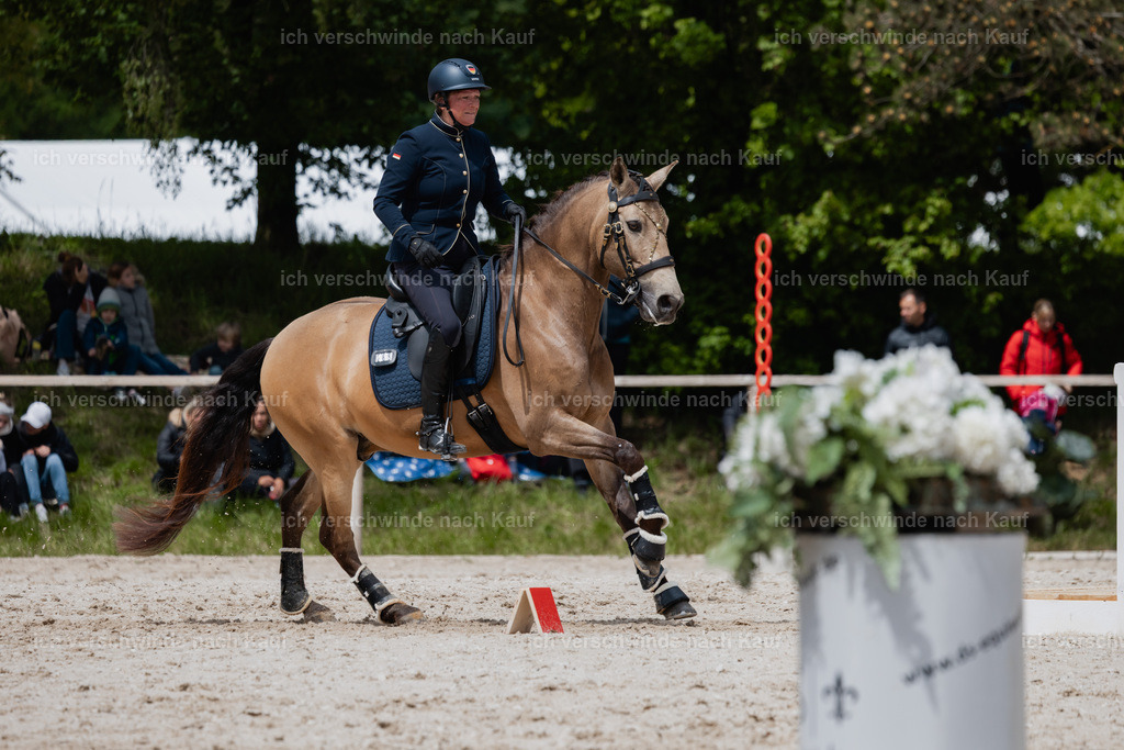 PI26_SP_StoibphotographyC2_C1999.jpg | working equitationturnier fotograf videograf stoibphotography marixx film working equitation deutschland reitsport turnierfotografie eventfotografie equestrian events