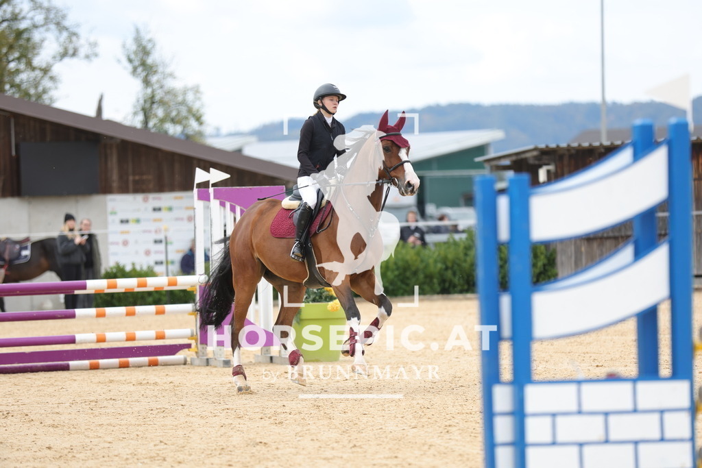 0P6A9128 | Willkommen bei Brunnmayr - Design & Fotografie – Ihrem Spezialisten für Reitturniere und Pferdeveranstaltungen in Oberösterreich, Salzburg und Bayern! Seit über 17 Jahren sind wir leidenschaftlich dabei.