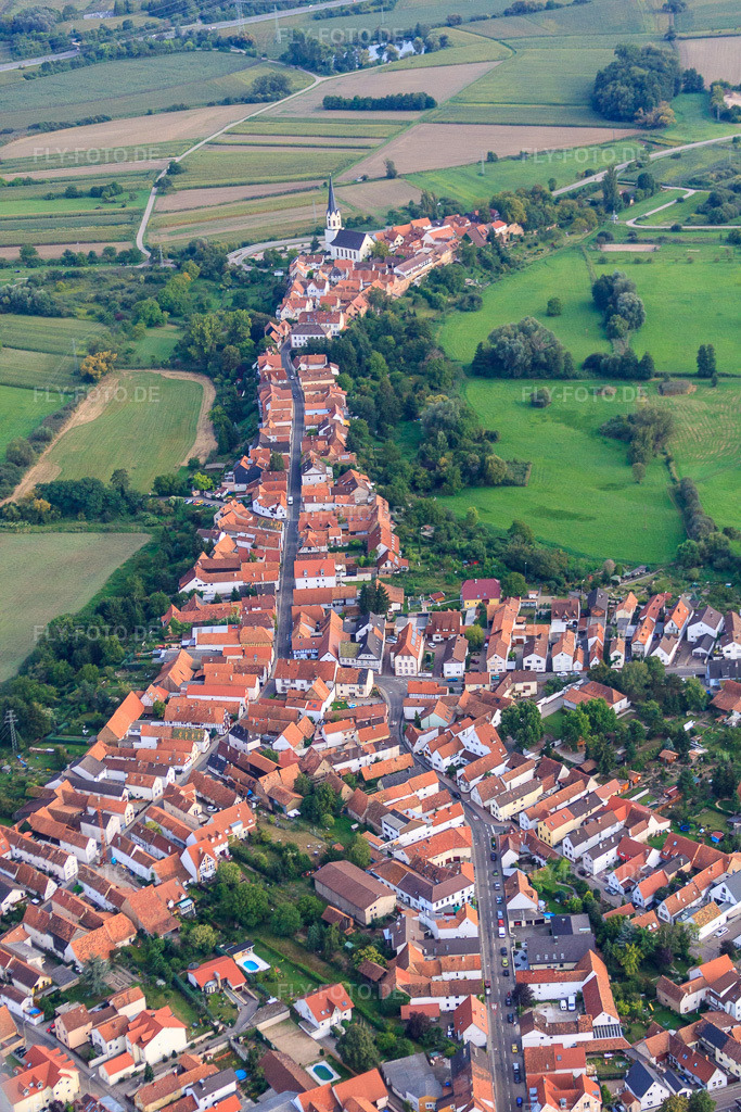 Luftbild: Hinterstädel von Norden in Jockgrim im Bundesland Rheinland-Pfalz in Deutschland. Foto: IMG_44935.jpg vom 03.09.2011 durch Werner Riehm/FLY-FOTO.de