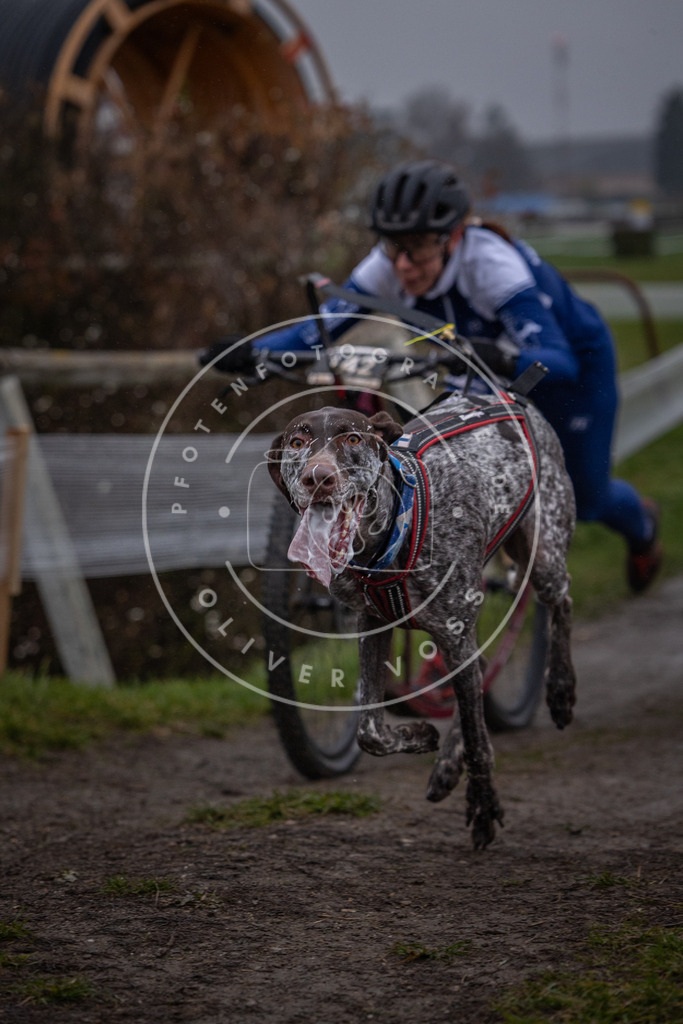 CaniXpix_0L8A0562 | Hundefotografie, Tierfotograf, Pfotenfotografie, Fotoshooting Hund, Hunde Portrait, Hundesport, Hundeportraits, Heideshooting, Hunde, Sportfotograf, Hundefotograf, Turnierhundsport, THS,  - Realisiert mit Pictrs.com