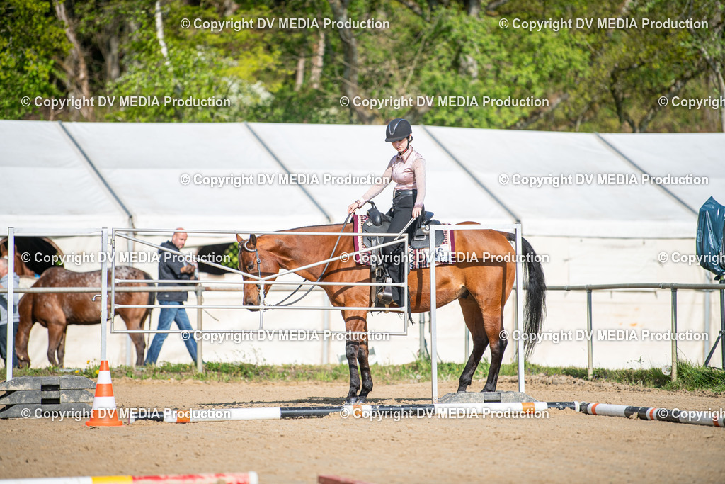 Heiligenwald Tag 2-547 | dv-media-shop - Realisiert mit Pictrs.com