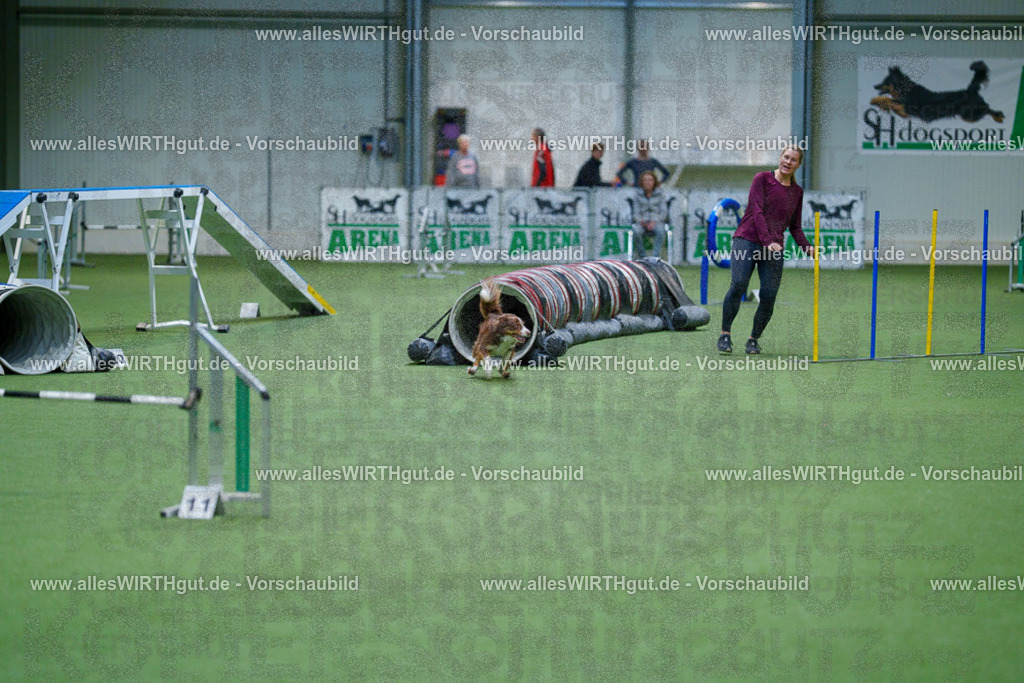 @allesWIRTHgut_Tierfotografie - www.allesWIRTHgut.de - 2604250810-7R505570 | Professionelle Tierfotografie in Mönchengladbach von Daniel Wirth (allesWIRTHgut). Liebevolle & natürliche Bilder von Hunden & Katzen für unvergessliche Erinnerungen.