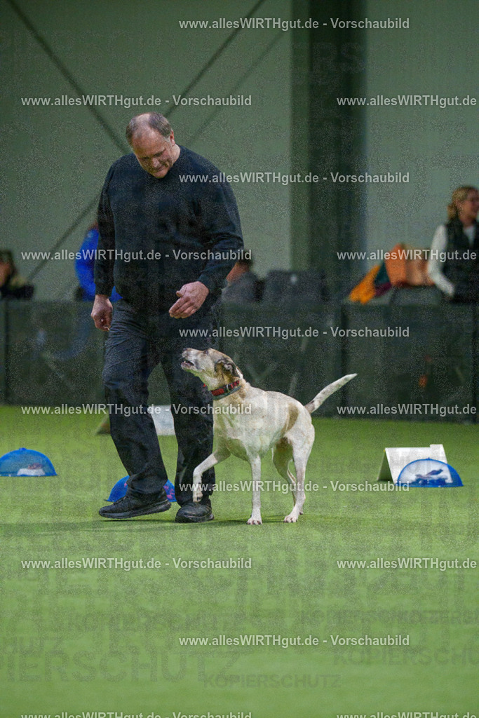 7R505325 | Professionelle Tierfotografie in Mönchengladbach von Daniel Wirth (allesWIRTHgut). Liebevolle & natürliche Bilder von Hunden & Katzen für unvergessliche Erinnerungen.