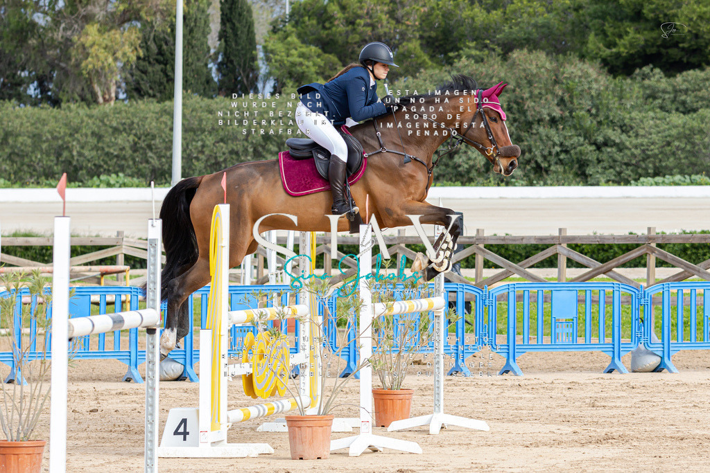 IMG_2612 | s-jay-photography - Realisiert mit Pictrs.com