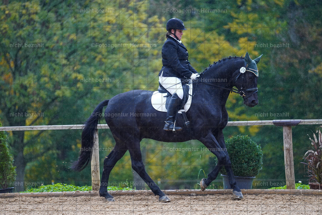 20221008-FAH02033 | Diessen am Ammersee, 2022, Dressur- und Springturnier, Reitsportbilder, Turnierfotografen Bayern, Pferdefotografen, Fotoagentur Herrmann, Turnierbilder
