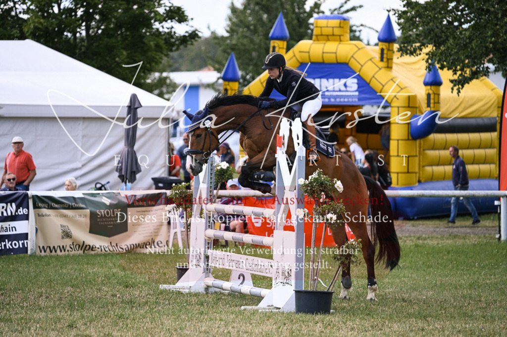 DSC_0892 | Pferde- und Turnierfotografie in Westsachsen. Pferdeportraits, Auftragszeichnungen und intuitive Kunst.