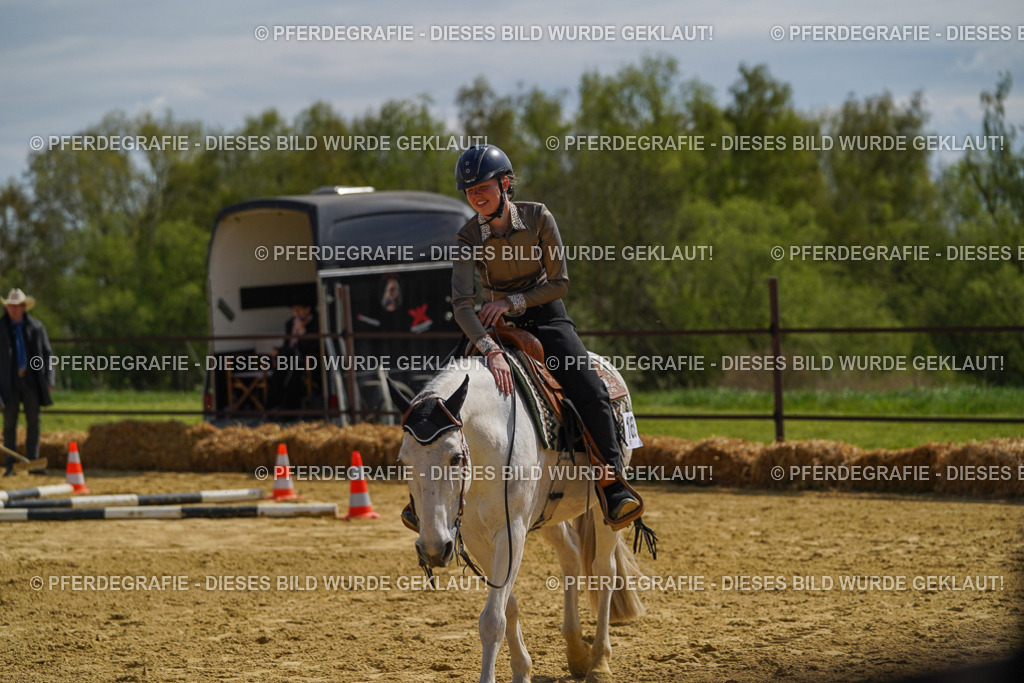 DSC04827 | Pferdegrafie