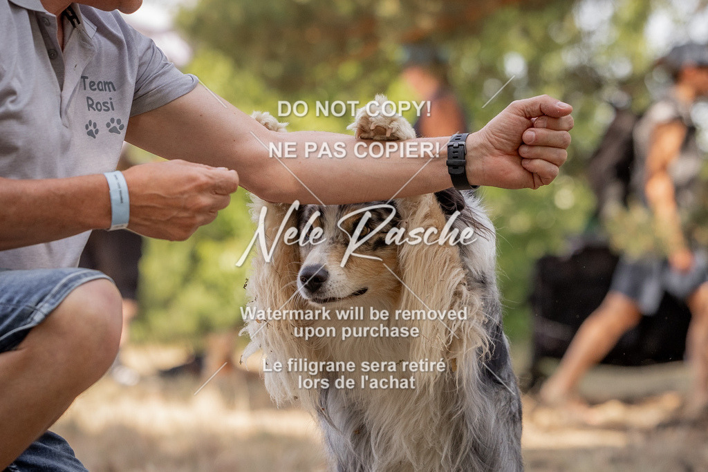 nelerasche_soDD2_118 | nelerasche