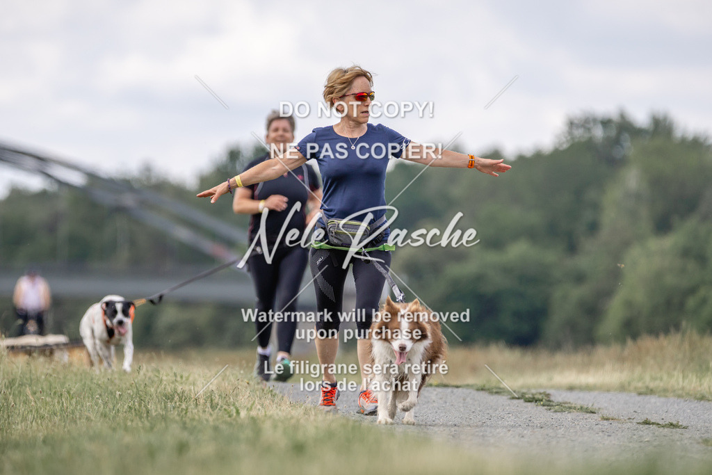 nelerasche_BuHu2026_SaCC1100-1200_149 | nelerasche