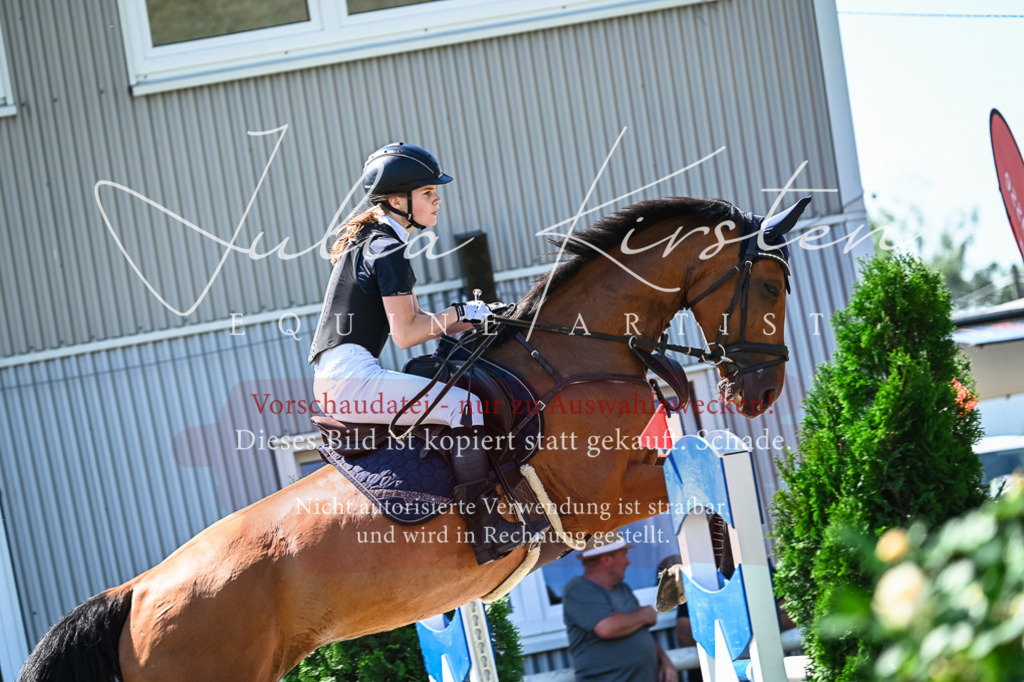 DSC_1454 | Pferde- und Turnierfotografie in Westsachsen. Pferdeportraits, Auftragszeichnungen und intuitive Kunst.