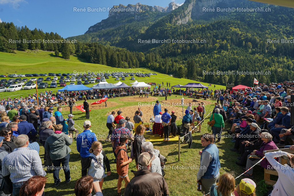 DSC01225 | René Burch leidenschaftlicher Fotograf aus Kerns in Obwalden.  Hier finden sie Sport, Landschaft und Natur Fotografie.
 - Realisiert mit Pictrs.com