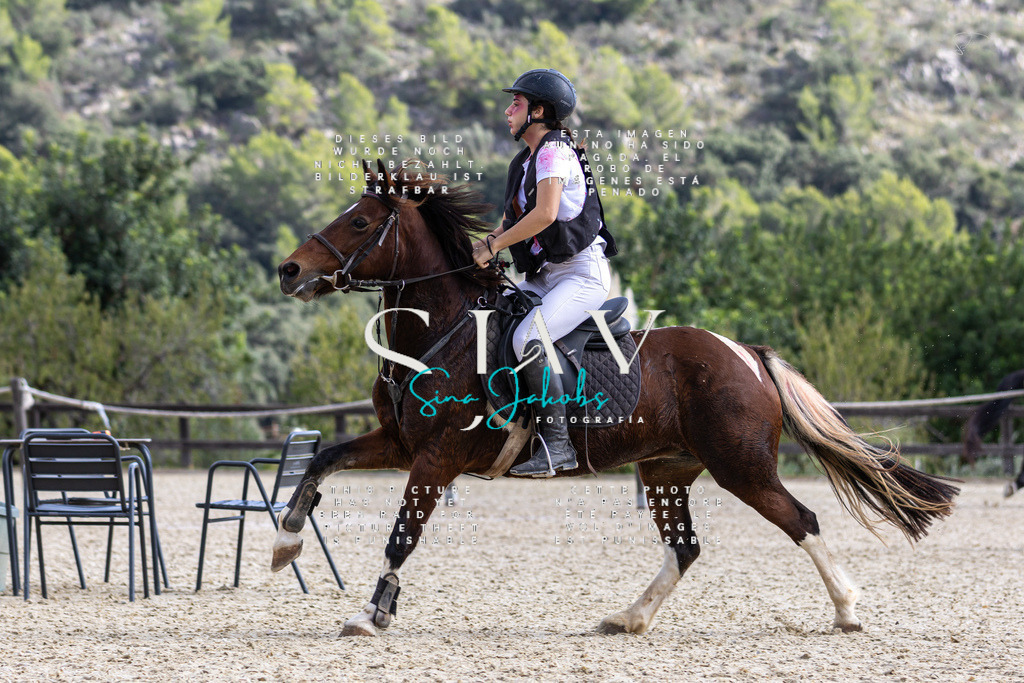 IMG_2545 | s-jay-photography - Realisiert mit Pictrs.com