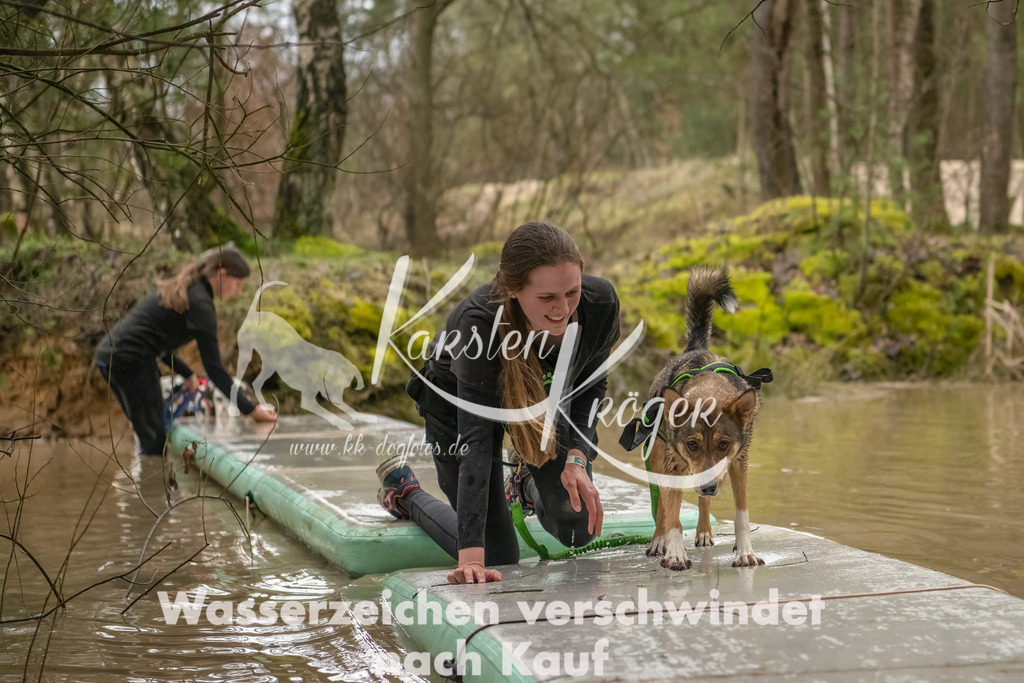 0858_ZZ90015-Bearbeitet | kk-dogfotos