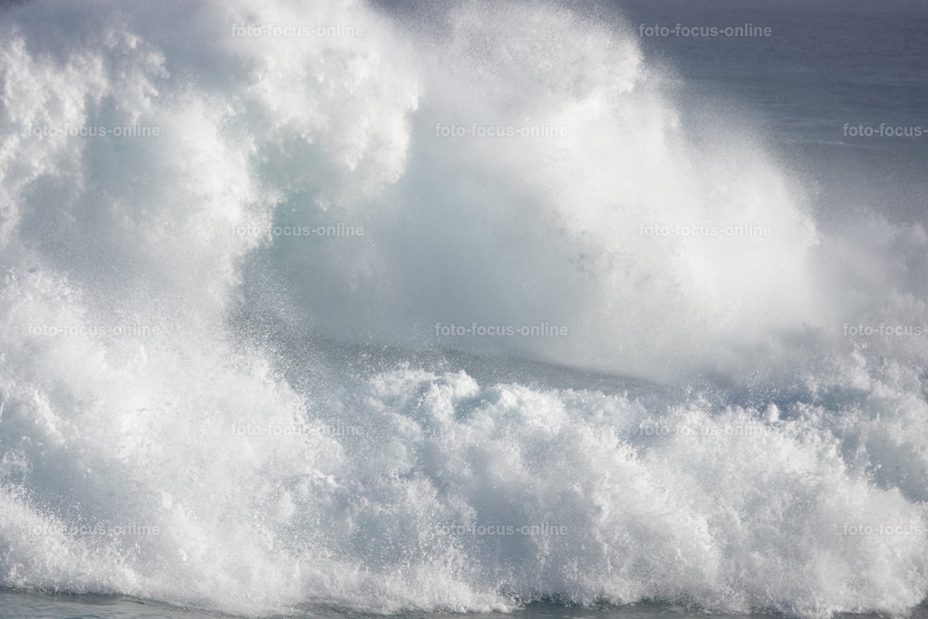 Wild Waves | Wild Waves Atlantic