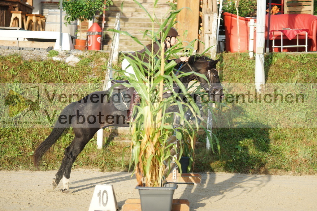 DSC02122 | equestrian-live-com