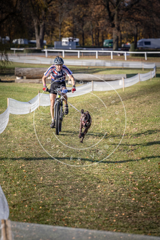 CaniXpix_DV3A3109 | Hundefotografie, Tierfotograf, Pfotenfotografie, Fotoshooting Hund, Hunde Portrait, Hundesport, Hundeportraits, Heideshooting, Hunde, Sportfotograf, Hundefotograf, Turnierhundsport, THS,  - Realisiert mit Pictrs.com