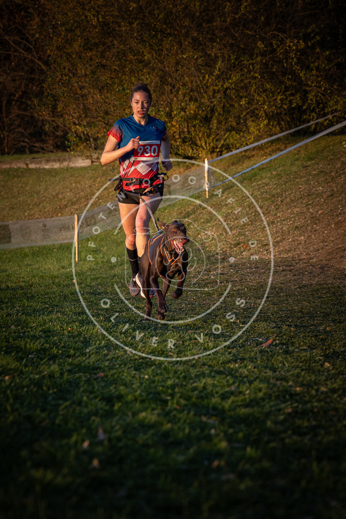 CaniXpix_0L8A1737 | Hundefotografie, Tierfotograf, Pfotenfotografie, Fotoshooting Hund, Hunde Portrait, Hundesport, Hundeportraits, Heideshooting, Hunde, Sportfotograf, Hundefotograf, Turnierhundsport, THS,  - Realisiert mit Pictrs.com