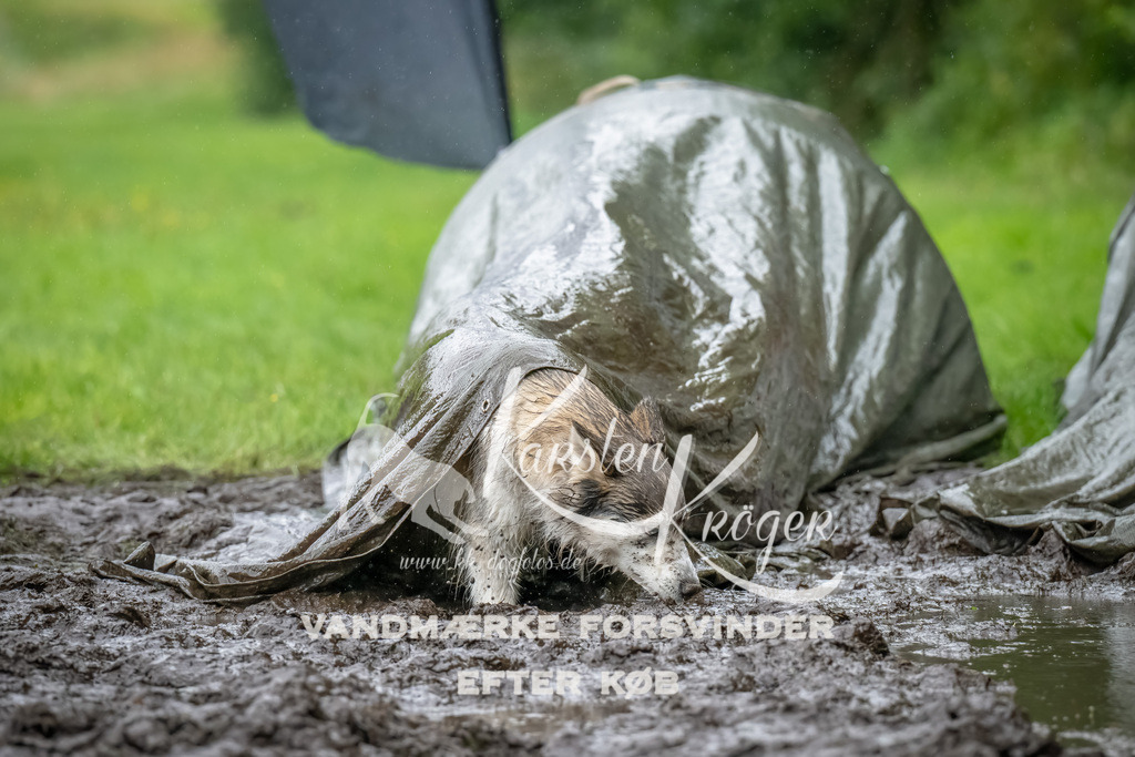0933_ZZ91277-Bearbeitet | kk-dogfotos