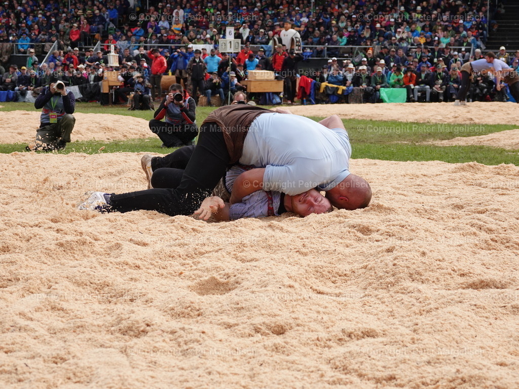 DSC08012 | Schwingen - Realisiert mit Pictrs.com