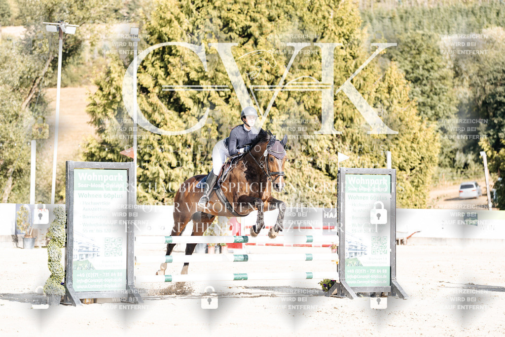 CK909191 | Turnierfotografie Pferdefotografie Trier Rheinland-Pfalz Pferdesport Reitsport Tierfotografie Sportfotografie Pferdevideo Pferdevideografie Equestrianvideography equestrianphotography  - Realisiert mit Pictrs.com