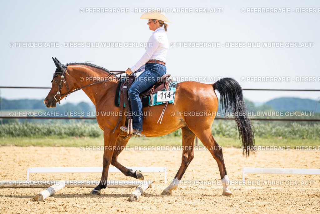 DSC00404 | Pferdegrafie