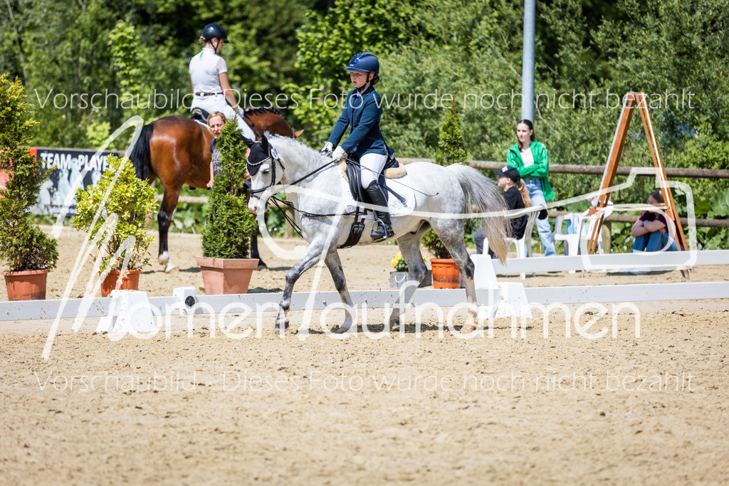 Donop24-RWB-039 | MomenTaufnahmen Pferdesportfotos