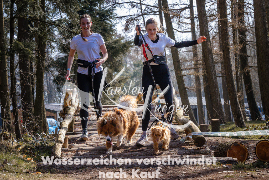 1354_ZZ96501 | kk-dogfotos