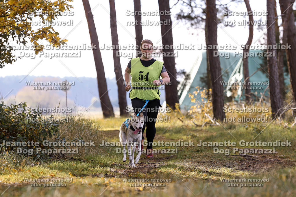 Dog Paparazzi - Elsholz 25 -199 | Dog Paparazzi Jeanette Grottendiek Fotografie & Videografie - Realisiert mit Pictrs.com