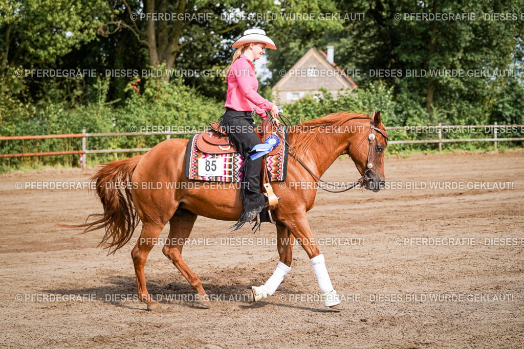 DSC09563 | Pferdegrafie