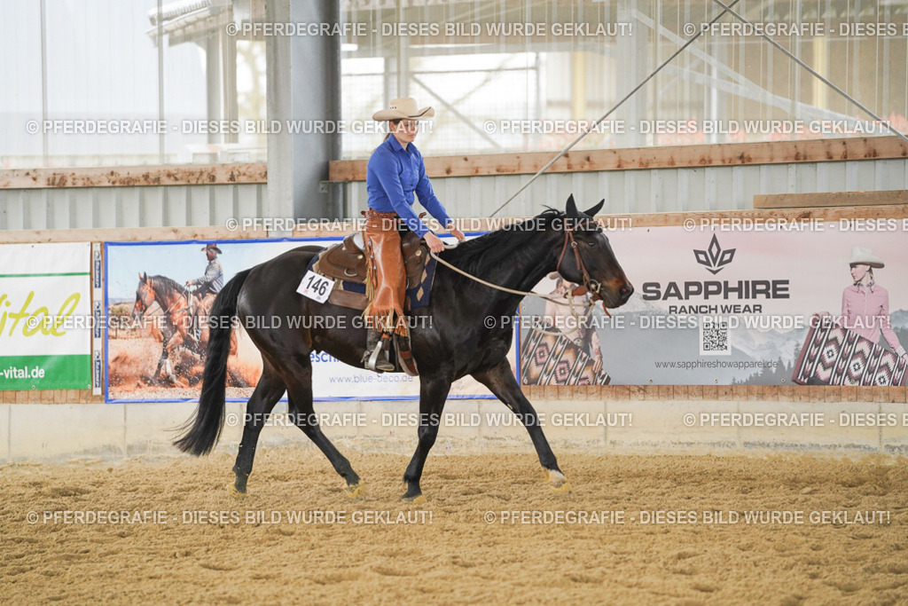 DSC05267 | Pferdegrafie