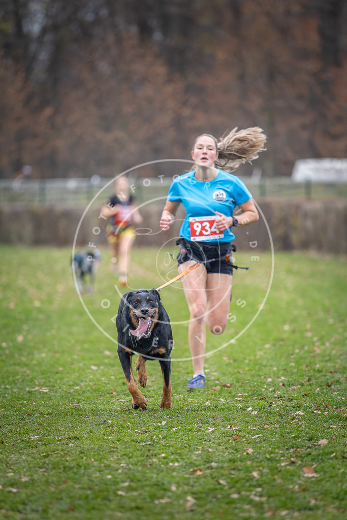 CaniXpix_DV3A7213 | Hundefotografie, Tierfotograf, Pfotenfotografie, Fotoshooting Hund, Hunde Portrait, Hundesport, Hundeportraits, Heideshooting, Hunde, Sportfotograf, Hundefotograf, Turnierhundsport, THS,  - Realisiert mit Pictrs.com