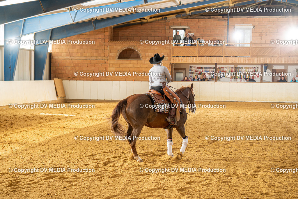 MIT00717 | dv-media-shop - Realisiert mit Pictrs.com