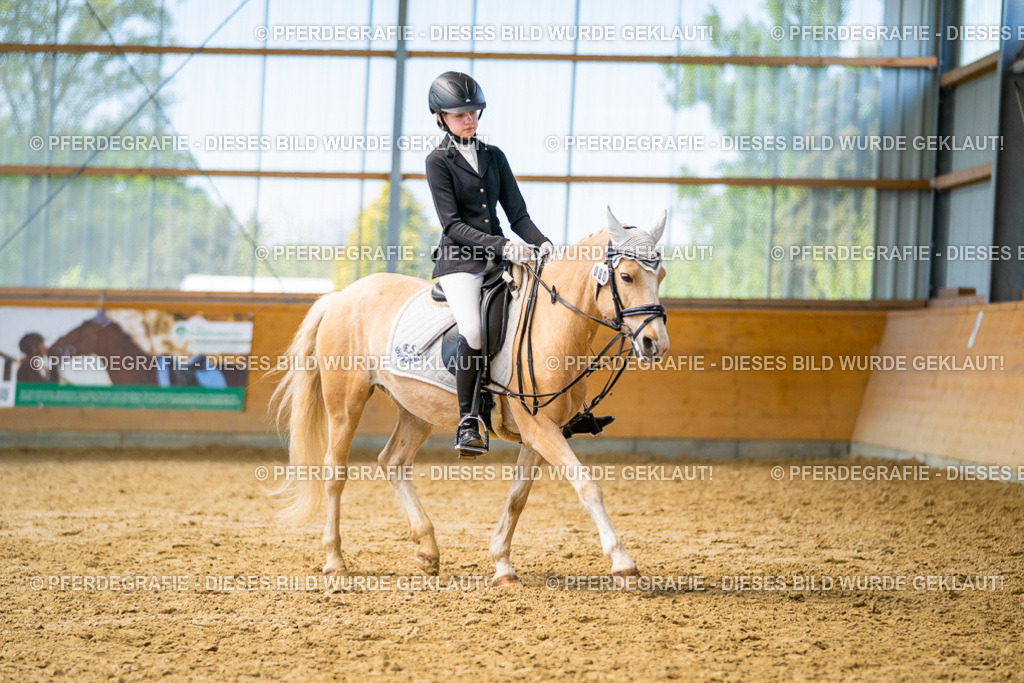 DSC08618 | Pferdegrafie