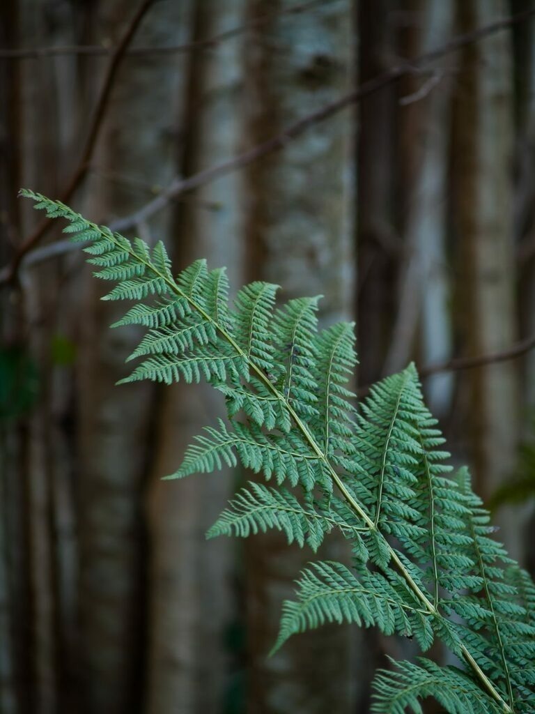 PSX_20221120_230754 | mtkfoto_ - Realisiert mit Pictrs.com