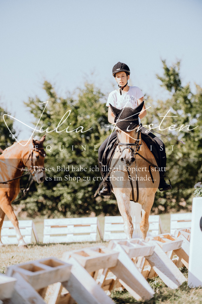 DSC_7255 | Pferde- und Turnierfotografie in Westsachsen. Pferdeportraits, Auftragszeichnungen und intuitive Kunst.